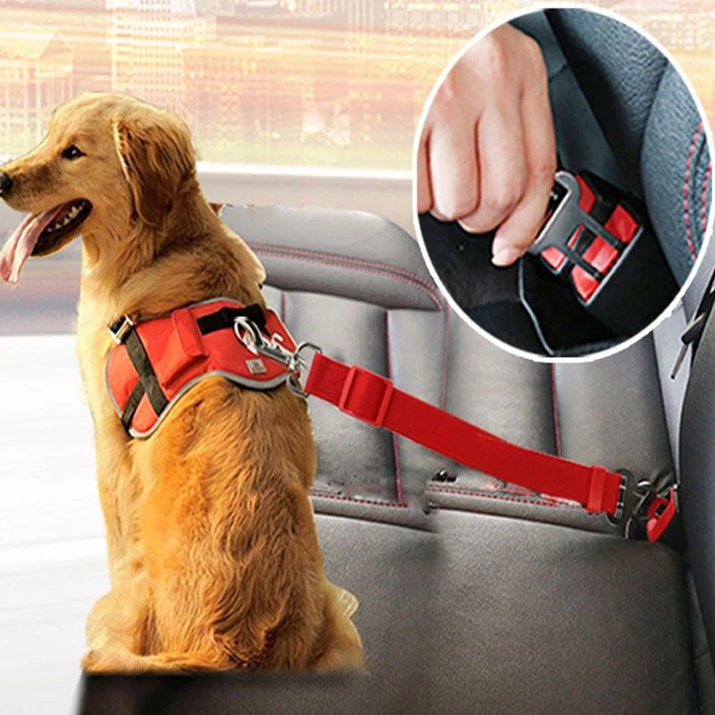 Dog Car Safety Belt