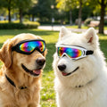 Dog Goggles 2-Pack