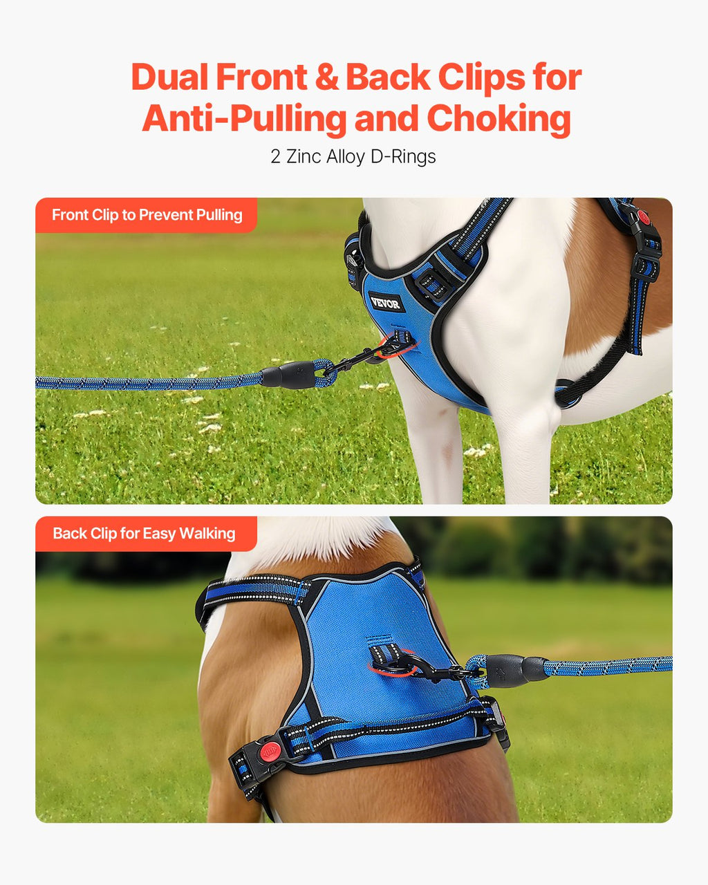 Adjustable Harness & 5 ft Leash Set
