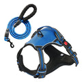 Adjustable Harness & 5 ft Leash Set