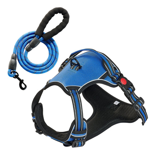 Adjustable Harness & 5 ft Leash Set