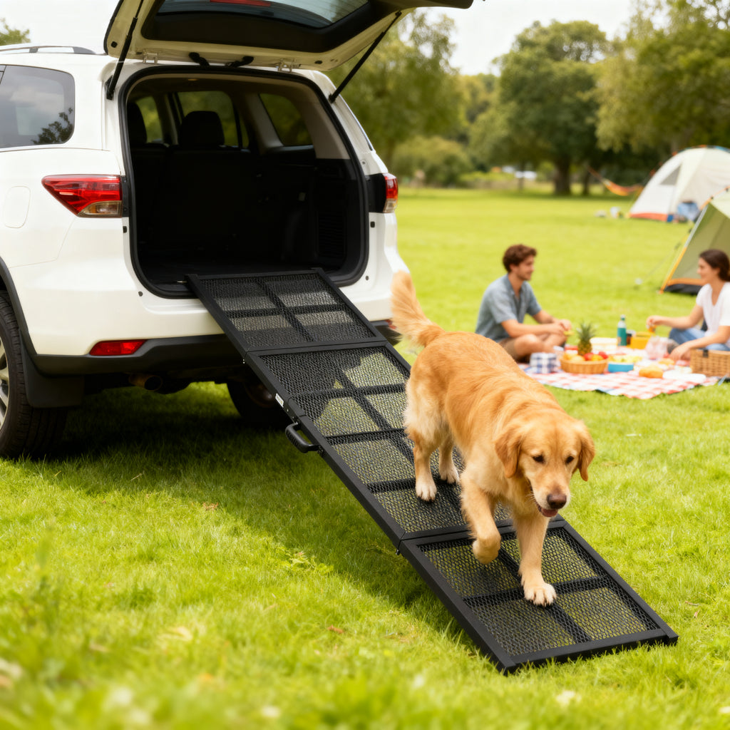 Extra-Long Wide Folding Dog Ramp, 75 in