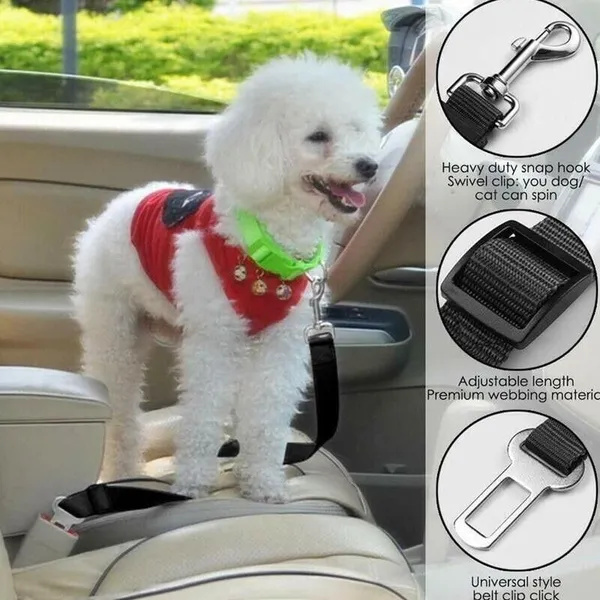 Seat-Belt Leash 2-Pack – dog secured in car with the seat-belt leash