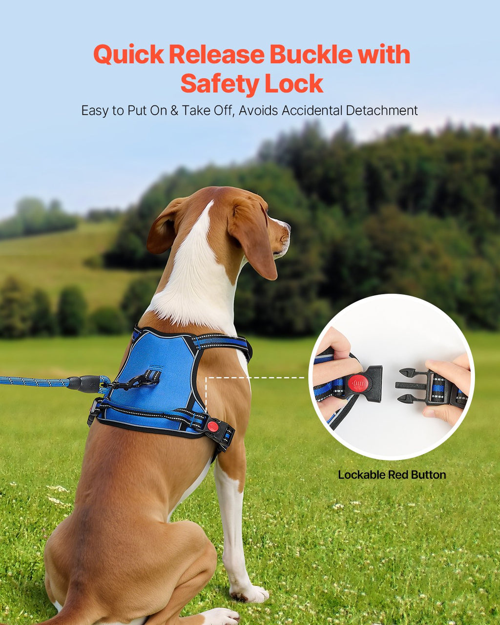 Adjustable Harness & 5 ft Leash Set