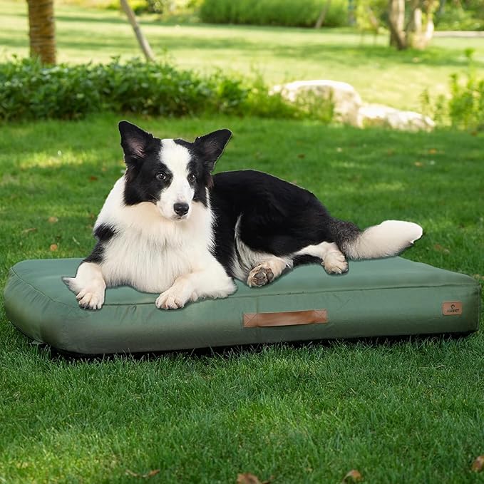 Inflatable Outdoor Dog Bed with Removable Cover