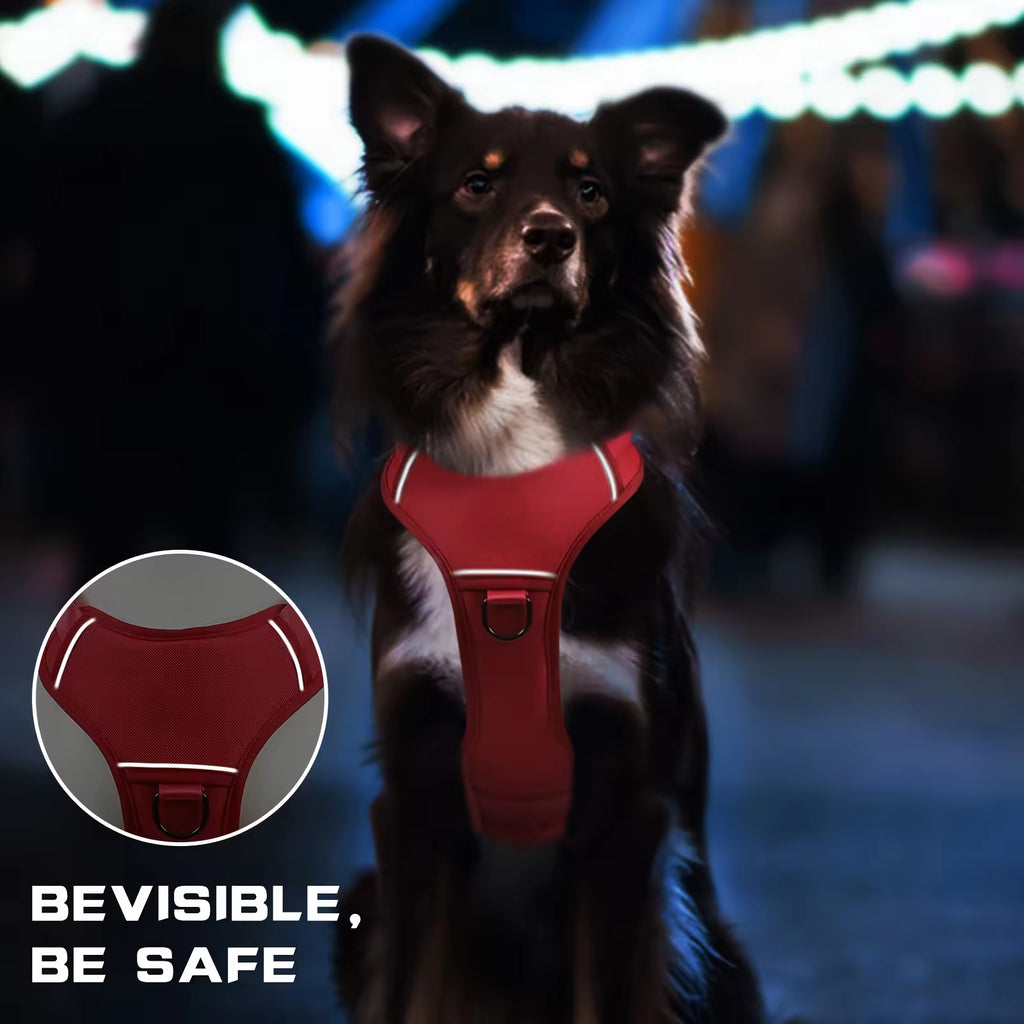 Tactical Adventure Harness with Handle