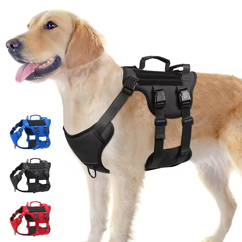 Tactical Adventure Harness with Handle