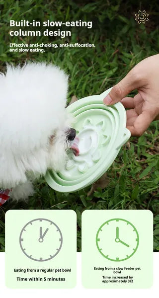 3-in-1 Collapsible Travel Bowl with Slow-Feeder Insert