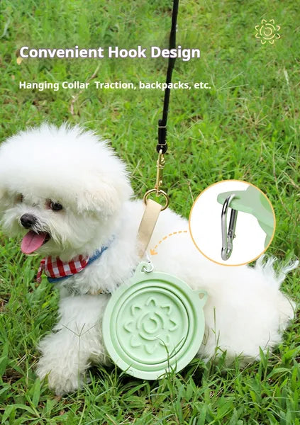 3-in-1 Collapsible Travel Bowl with Slow-Feeder Insert