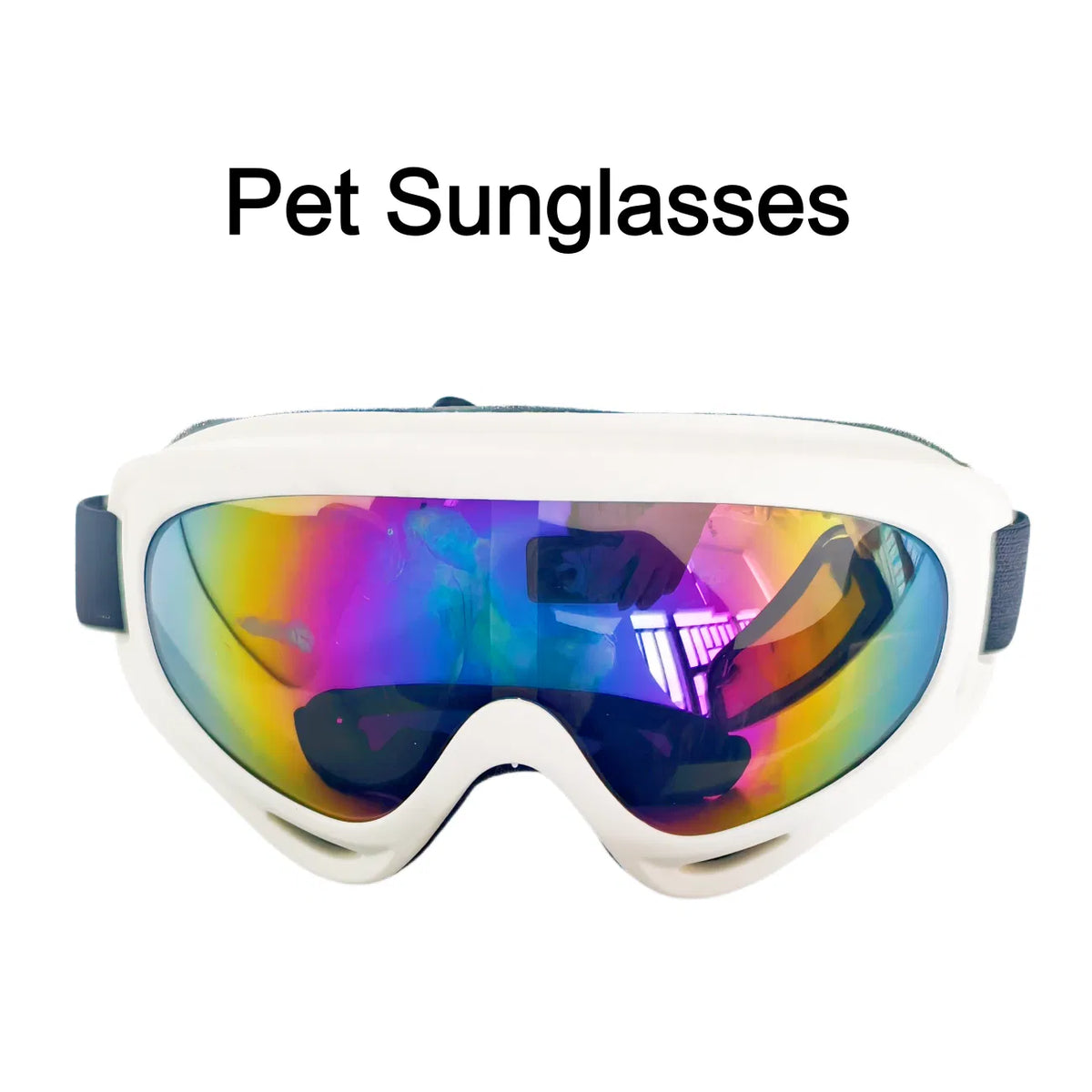 Dog Goggles 2-Pack