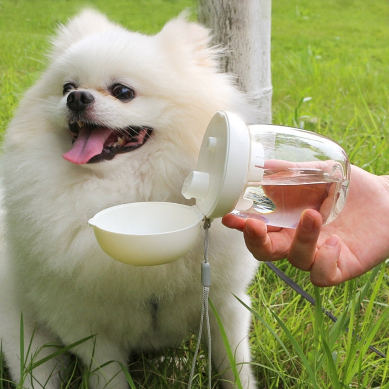 Portable Water Bottle Feeder