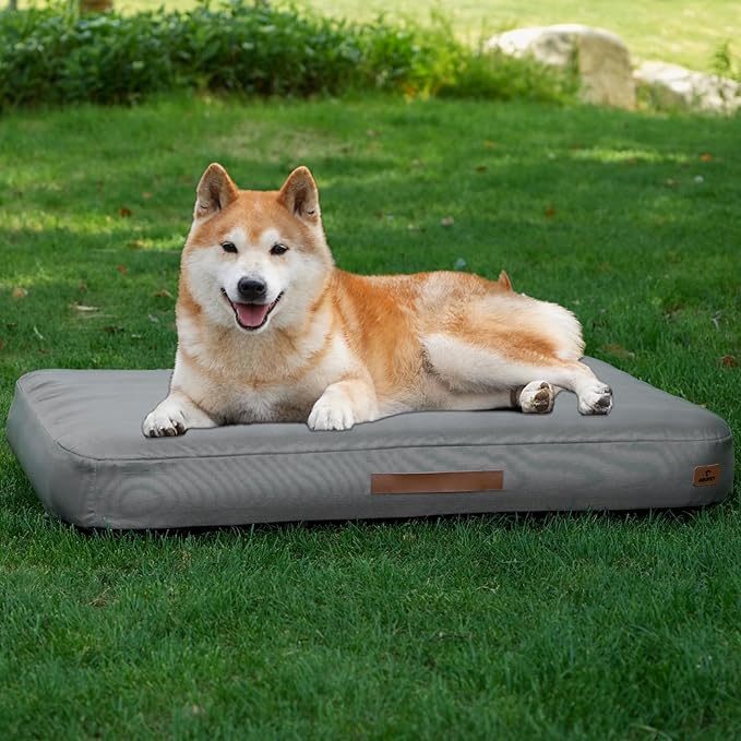 Inflatable Outdoor Dog Bed with Removable Cover
