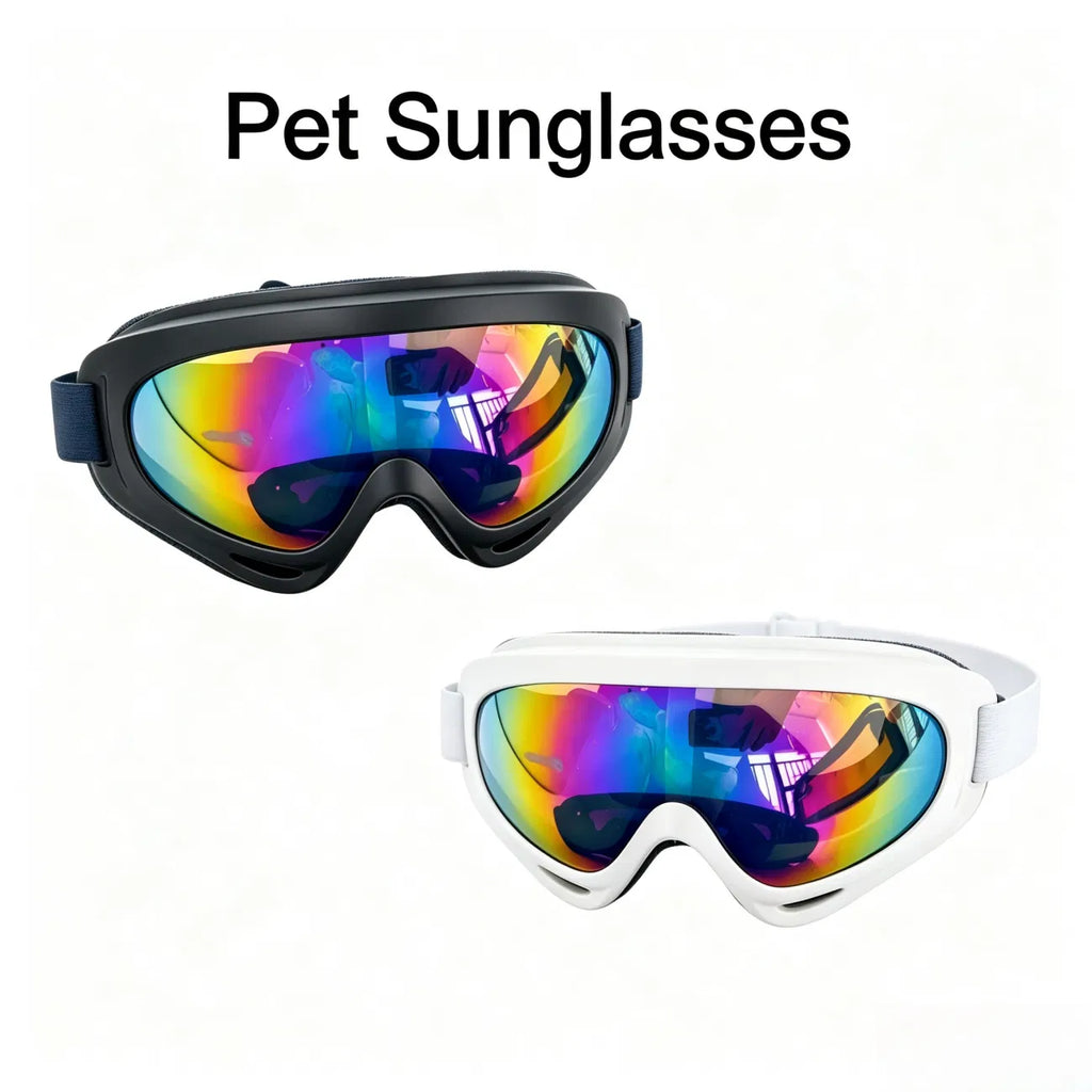 Dog Goggles 2-Pack