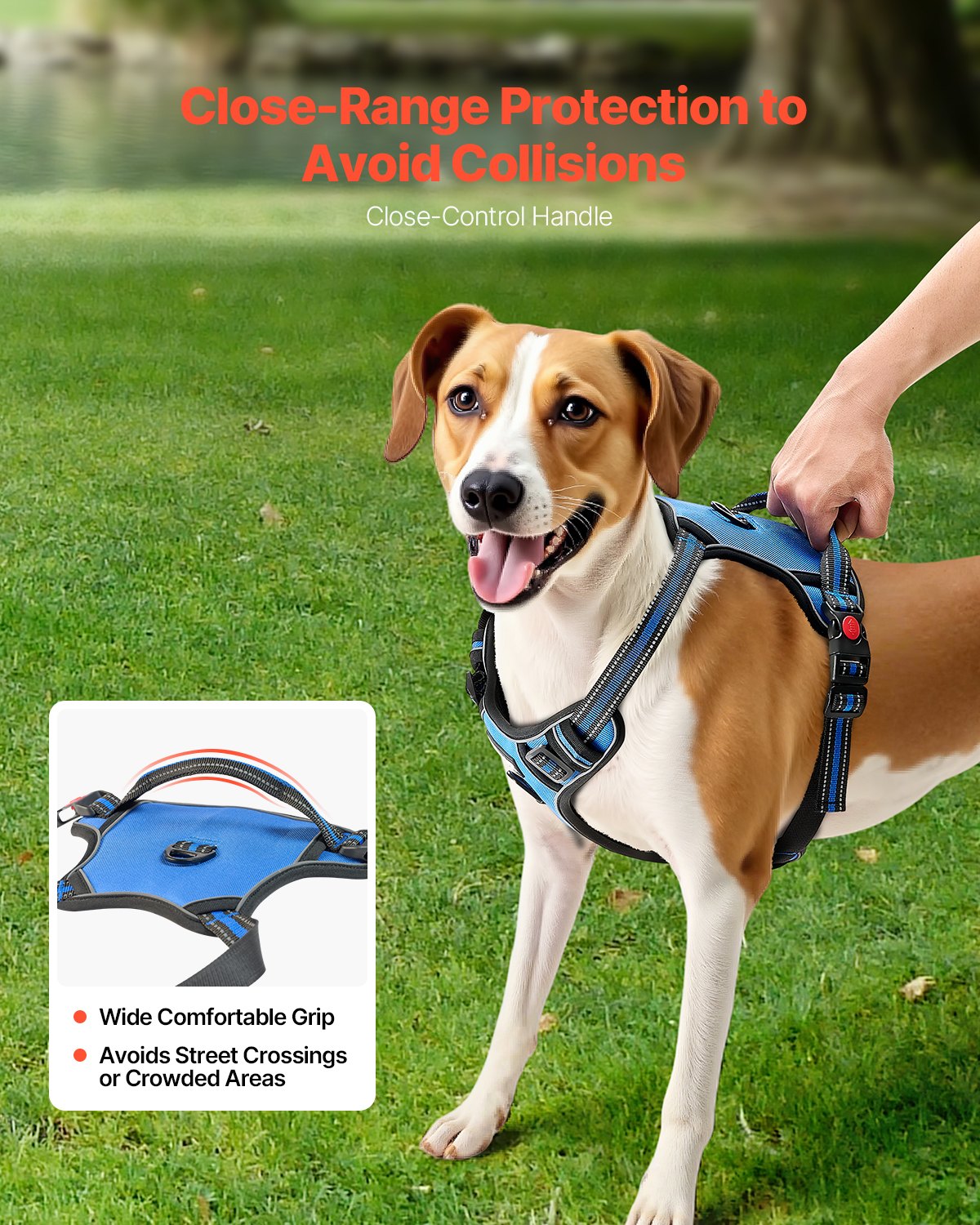 Adjustable Harness & 5 ft Leash Set