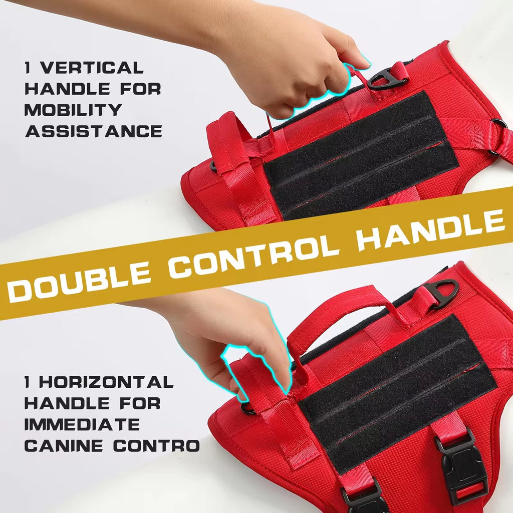 Tactical Adventure Harness with Handle
