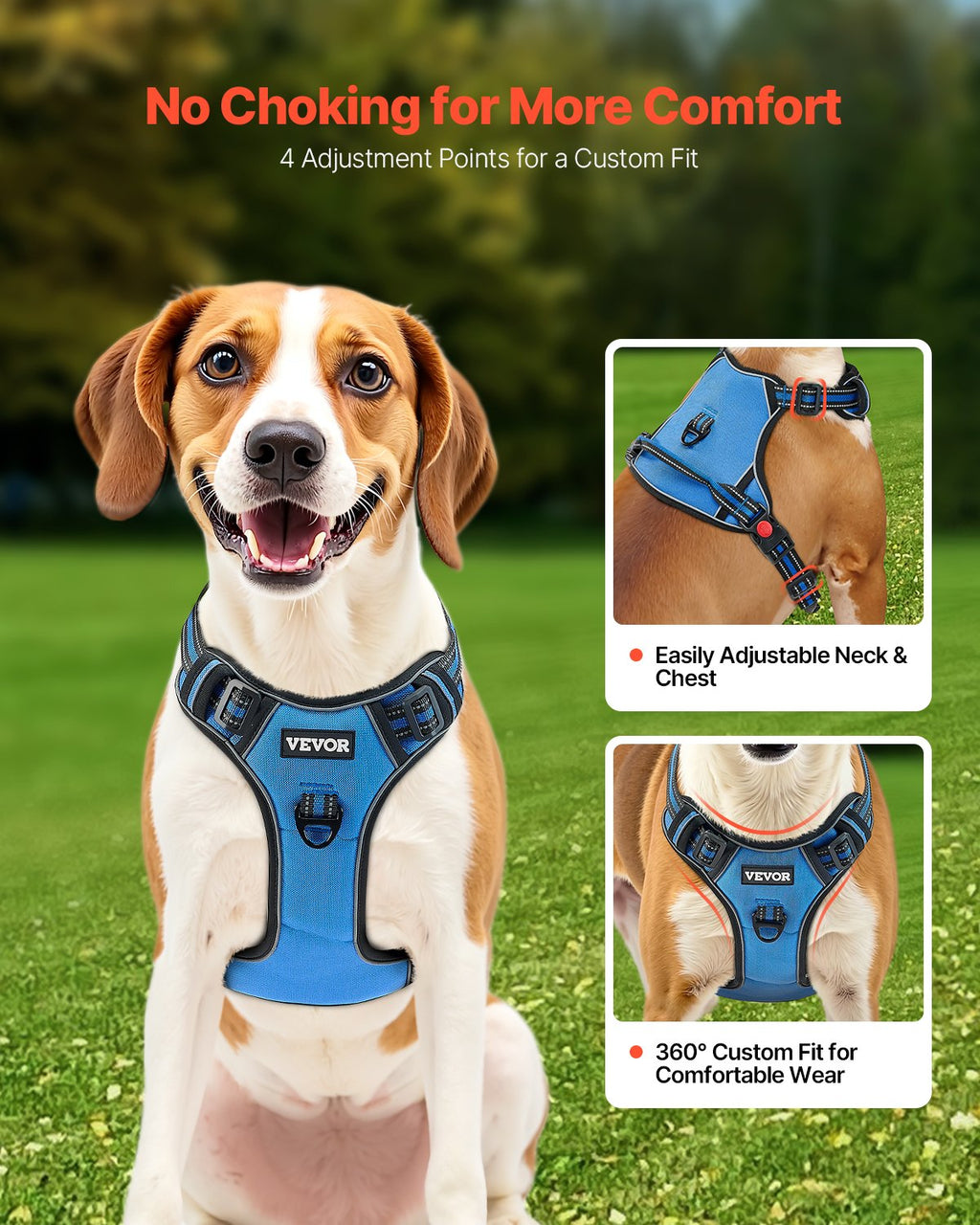 Adjustable Harness & 5 ft Leash Set
