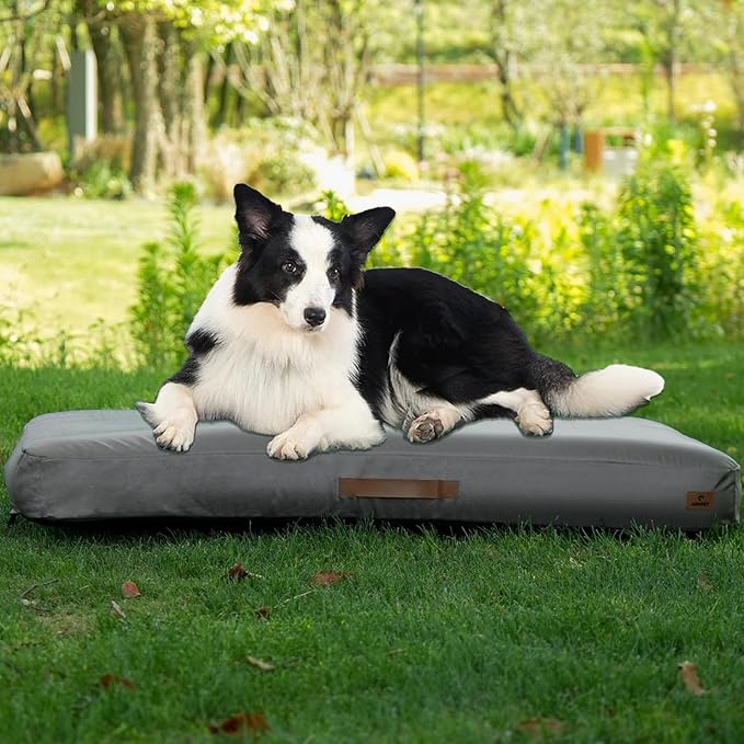 Inflatable Outdoor Dog Bed with Removable Cover