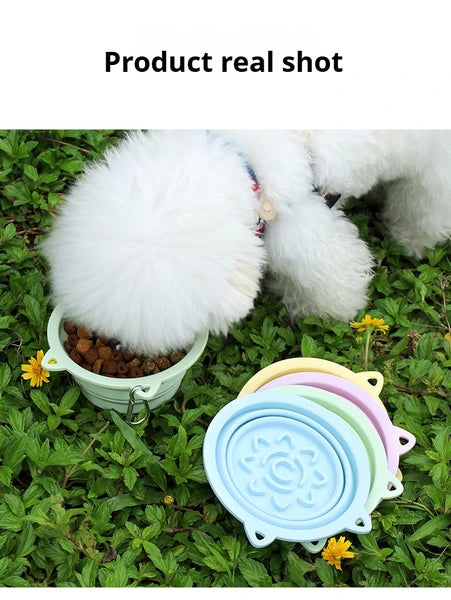 3-in-1 Collapsible Travel Bowl with Slow-Feeder Insert