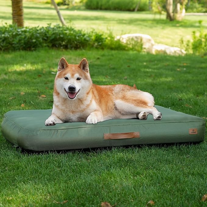 Inflatable Outdoor Dog Bed with Removable Cover