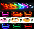 LED Night-Walk Collar – glowing LED collars shown in all available colors