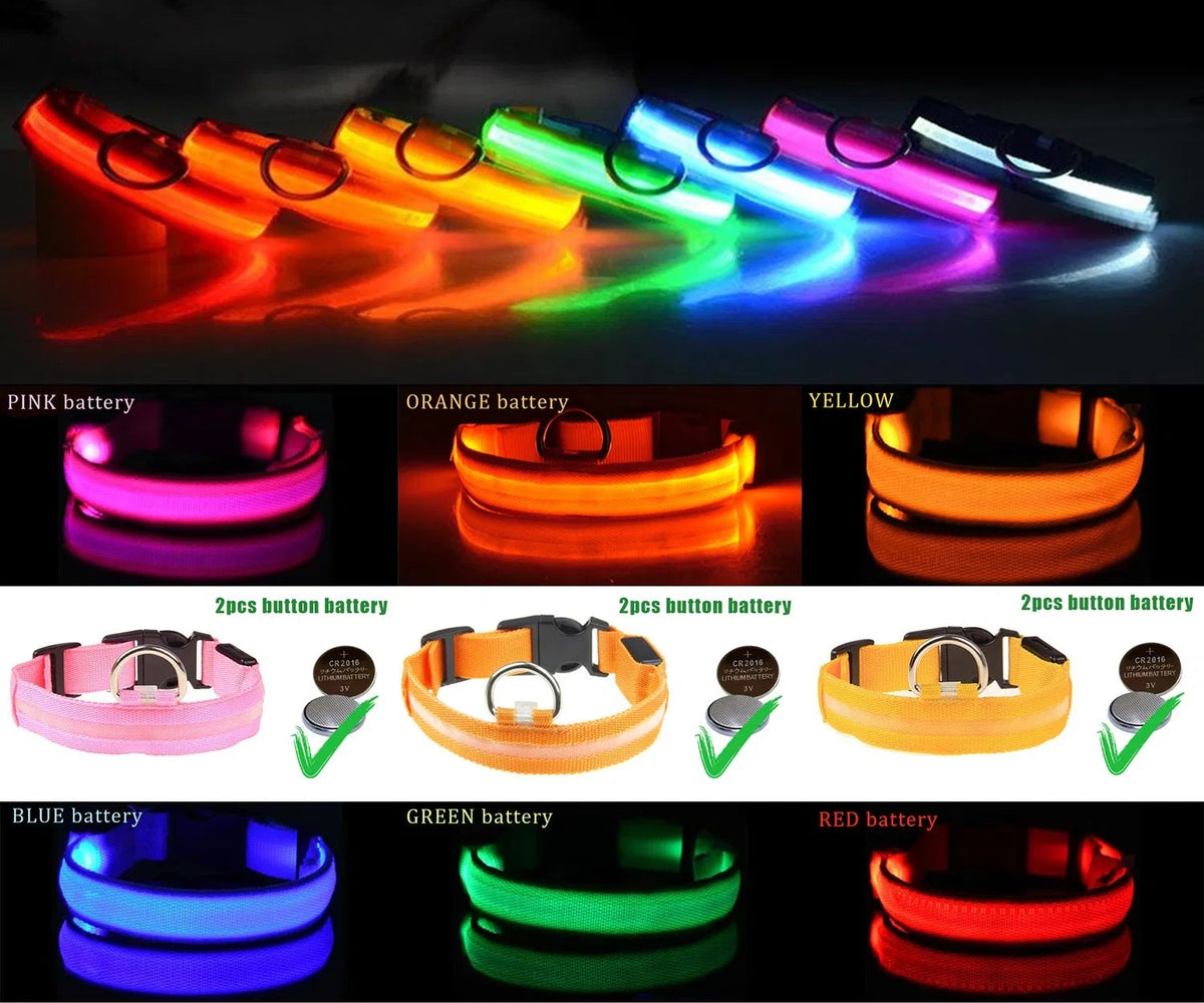 LED Night-Walk Collar – glowing LED collars shown in all available colors